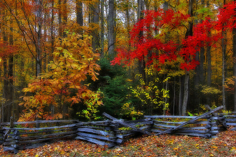 Great Smoky Mountains